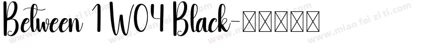 Between 1 W04 Black字体转换